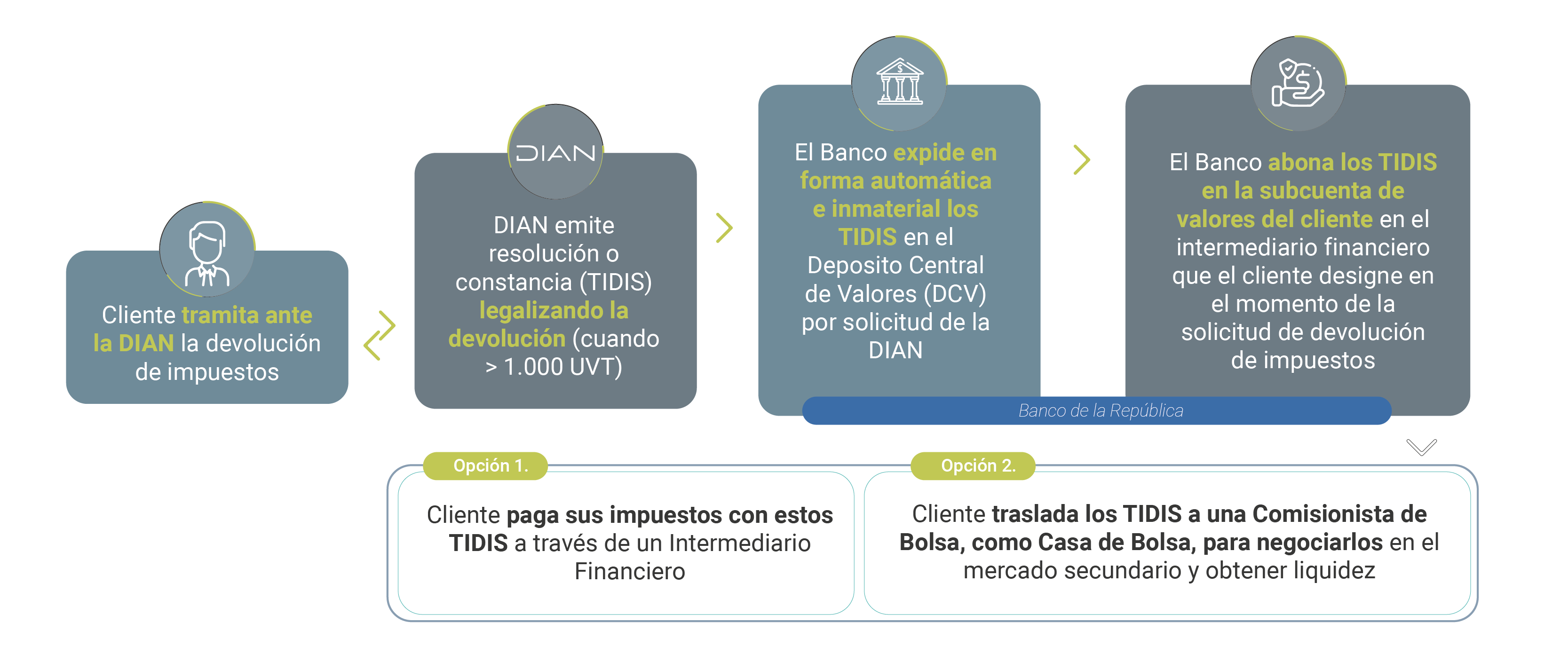 Cómo se realiza la devolución de Impuestos con TIDIS